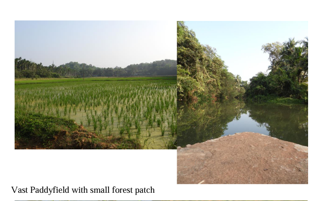 water management 4